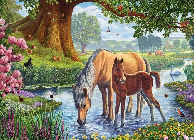 EUROGRAPHICS Puzzel Fell-pony’s 1000 stukjes