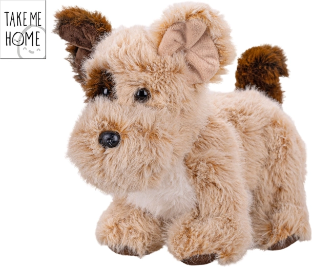 Pluchen hondje Take Me Home 24 cm
