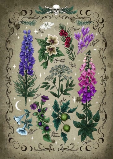 Puzzel Giftige Planten 1000 stukjes