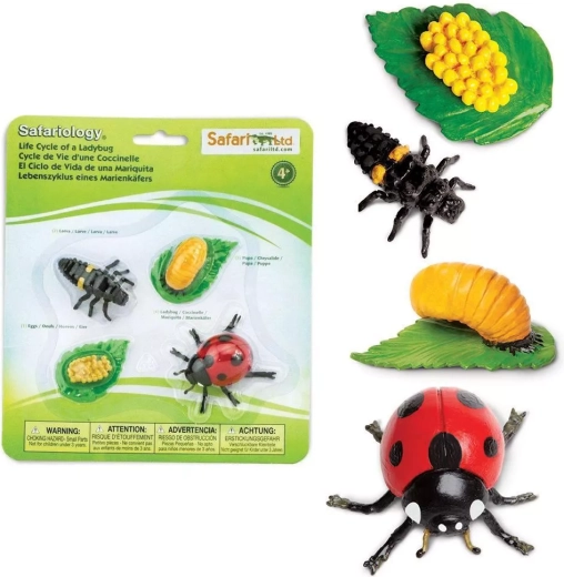 Safari Ltd. levenscyclus van het lieveheersbeestje – set van 4 figuren
