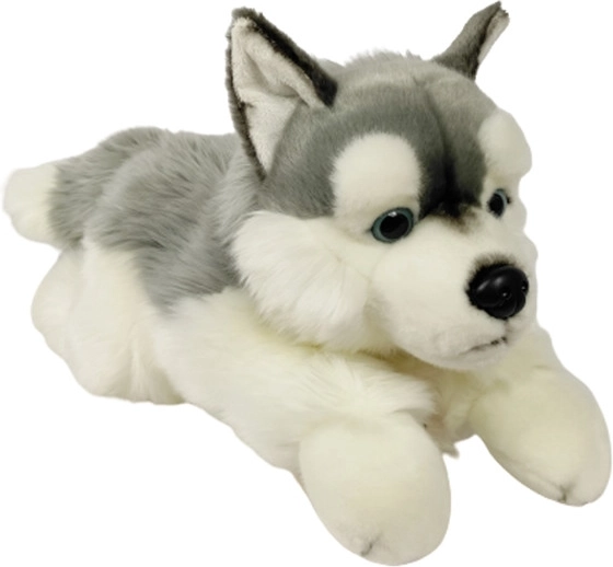 Pluchen husky 61 cm