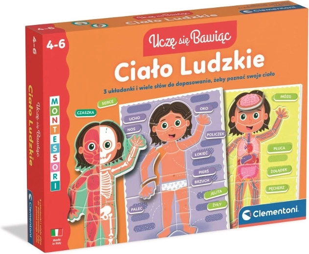 Menselijk lichaam – educatieve puzzel voor kinderen van 4–6 jaar