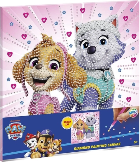 Diamantschilderen op canvas PAW PATROL 30 × 30 cm
