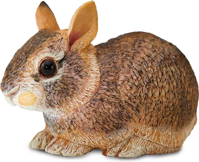Jong van de oostelijke wilde konijn Safari Ltd