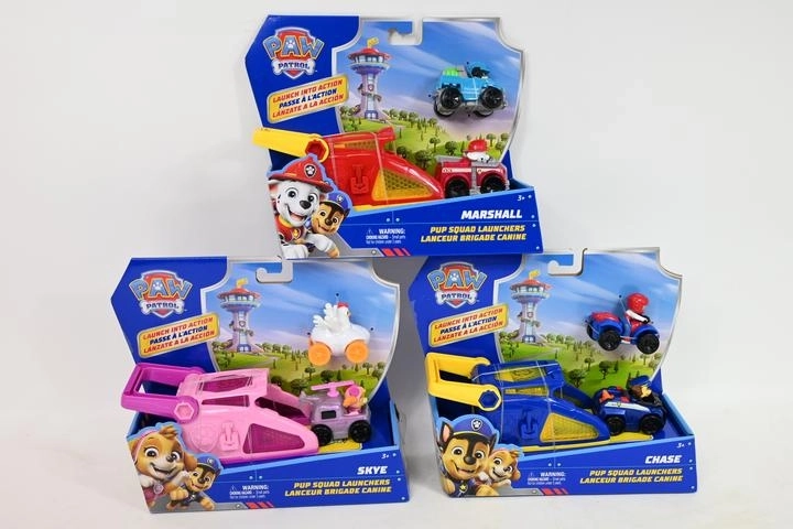 Spin Master PAW Patrol mini voertuig met launcher