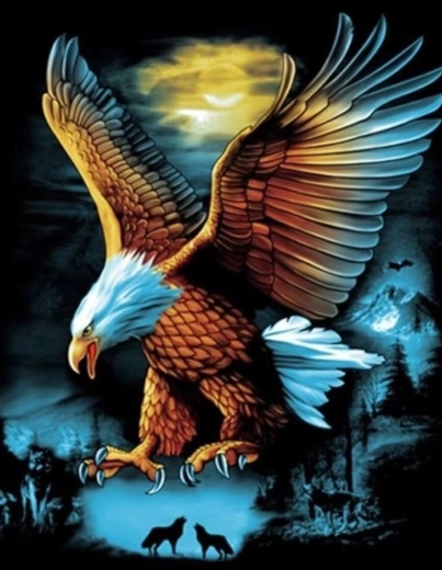 Diamond painting Adelaar bij volle maan 30 × 40 cm