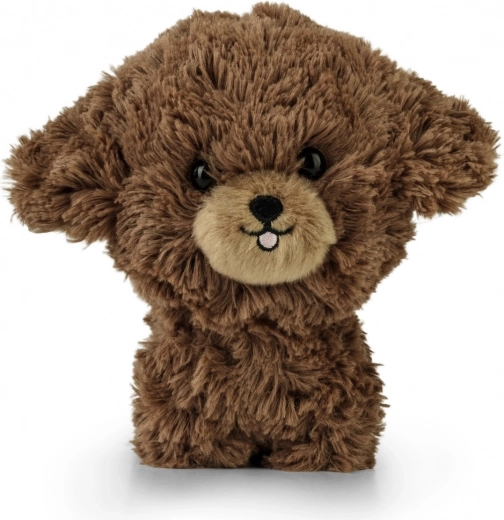 Pluchen poedelpuppy TEDDY PETS