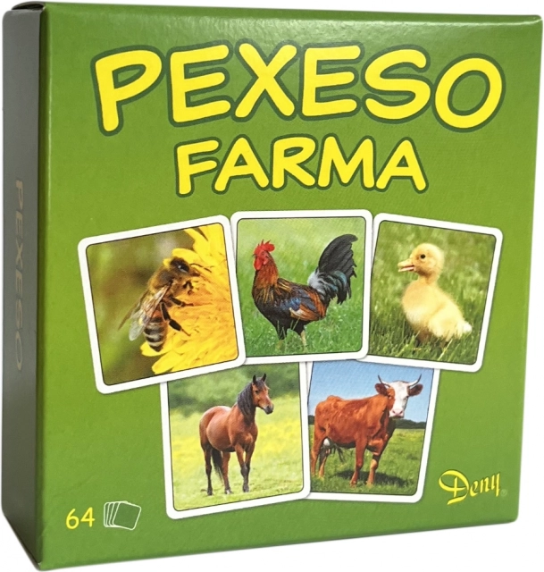 Boerderij Pexeso spel in doos