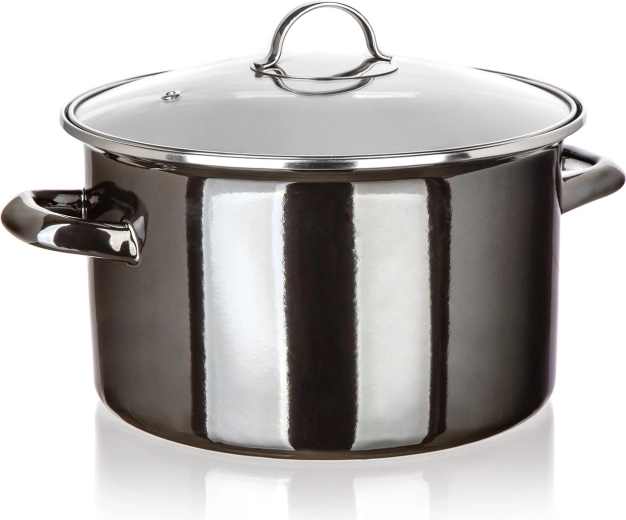 Geglazuurde pan met glazen deksel 26 cm 6 l Metallic Black