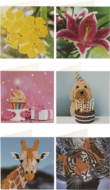 Diamantschilderen – wenskaarten 13 × 13 cm (set van 2)