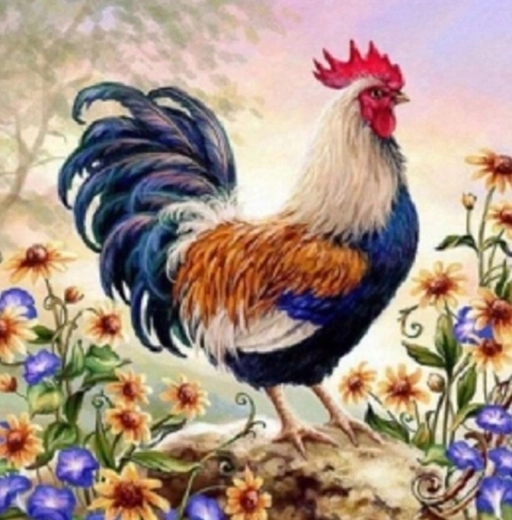 Norimpex schilderen op nummer Haan tussen de bloemen 40 × 50 cm