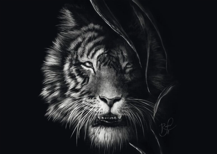 Schmidt-puzzel Wildheid van de tijger – belichaming van vrijheid 1000 stukjes