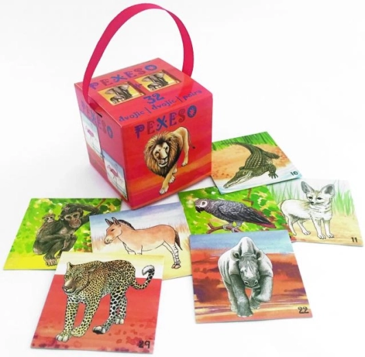 AKIM memory Safari in een doosje met lint (64 kaarten)