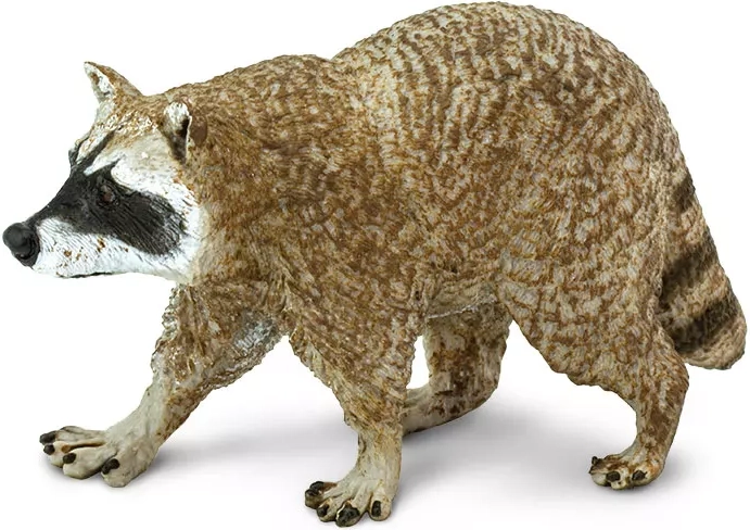 Figuur wasbeer (Noord-Amerikaanse wasbeer) Safari Ltd.