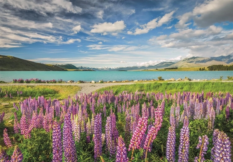 Clementoni puzzel Lupines bij Lake Tekapo 1500 stukjes