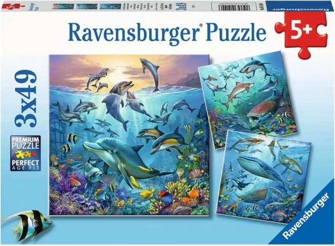 RAVENSBURGER Puzzel Dieren uit de oceaan 3x49 stukjes