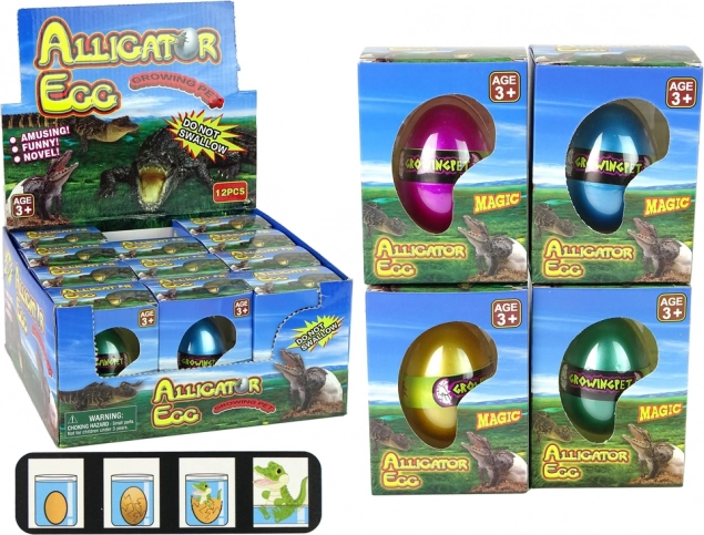 groeiend ei alligator krokodil 6 cm