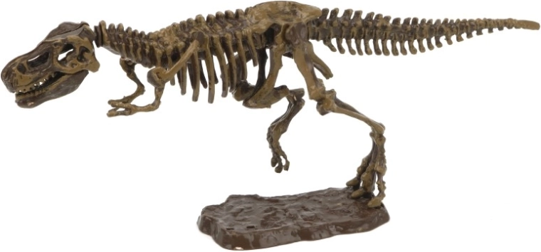 Archeologische set 3D tyrannosaurus