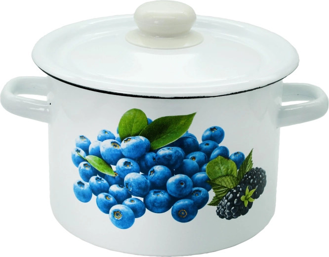 Geglazuurde pan met deksel 5,5 l met fruitdecor TORO