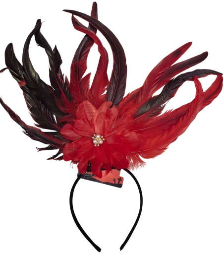 Halloween-diadeem met veren en bloem