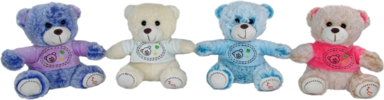 pluchen teddybeer 20 cm met truitje