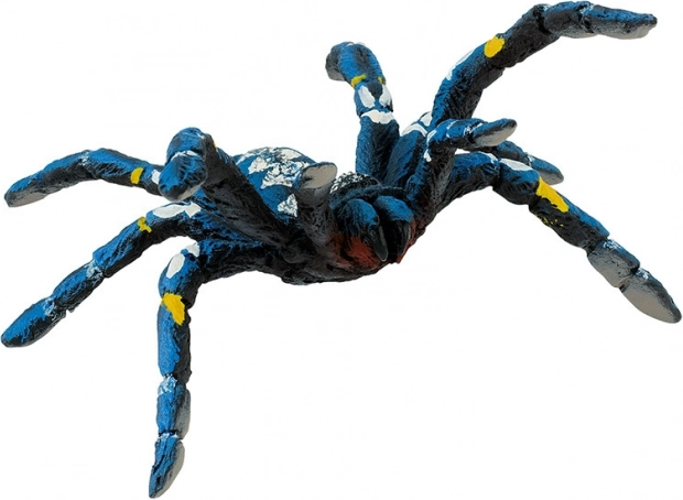 Blauwe tarantula