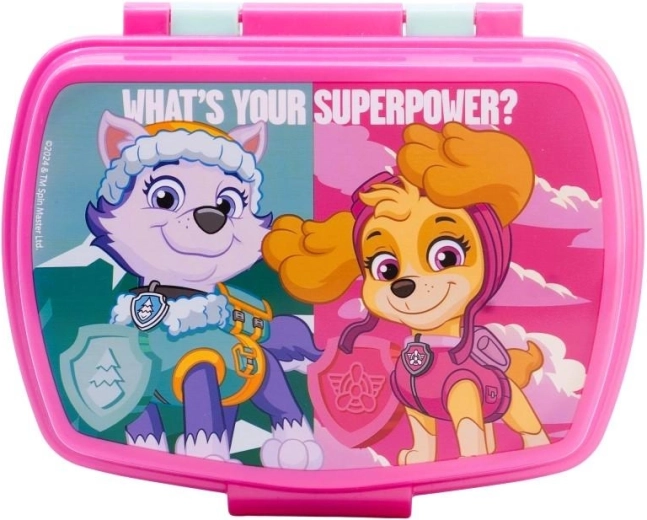 Lunchbox Paw Patrol