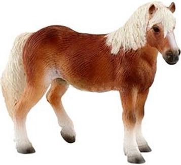 Haflinger merrie