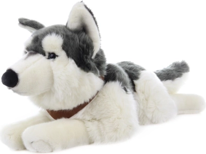 Pluche husky liggend met riemen 60 cm