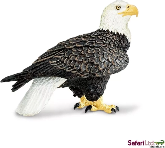 Safari Ltd. zeearend