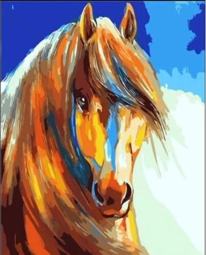 Schilderen op nummer op raam 40 × 50 cm – paard in kleur
