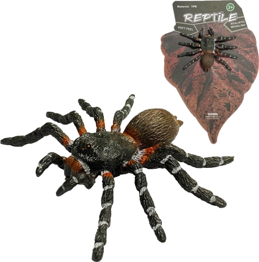 Levende natuur: realistisch model van de White Knee Spider (8 cm) - 1 stuk