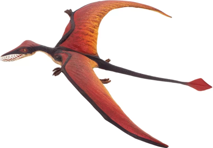 Safari Ltd. ramphorhynchus - 1 stuk