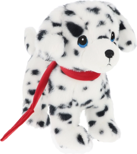 Keeleco dalmatiër puppy aan de lijn 23 cm