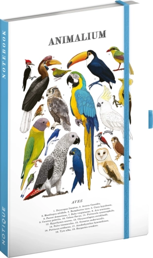 Notique Notes Animalium – gelijnd notitieboek met vogelmotief 13 × 21 cm