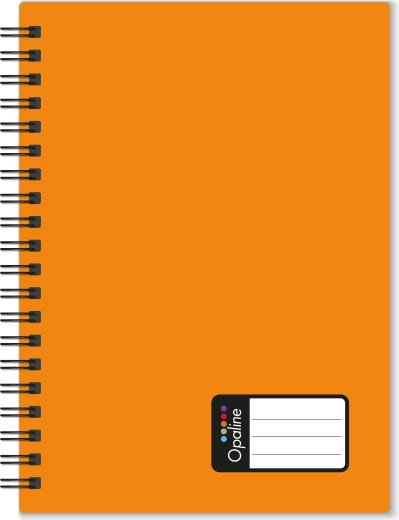 A5-notitieblok met dubbele spiraal Opaline, oranje