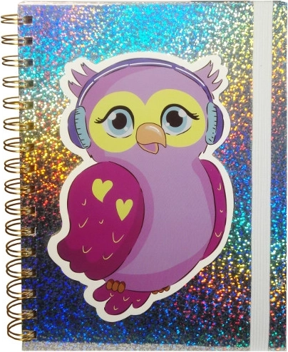 Holografisch dagboek met uil en elastiek
