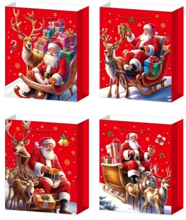 Feestelijke cadeauzak maat M