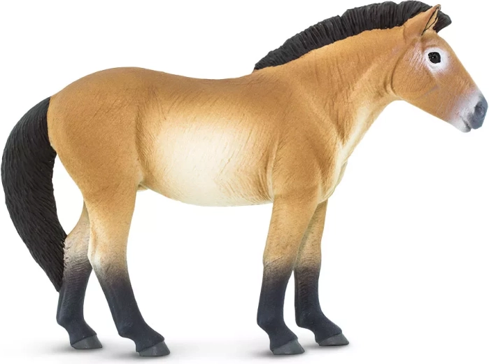 Safari Ltd. figuur Przewalskipaard