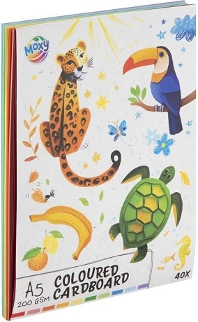 Colorino creatief gekleurd blok A5, 40 vellen