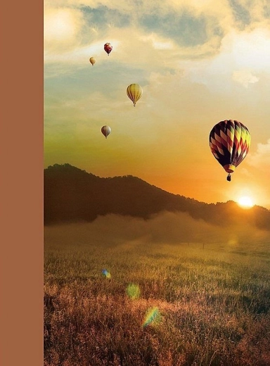 Fotoalbum CONCORDE DRS 30 met zelfklevende bladen (30 bladen)