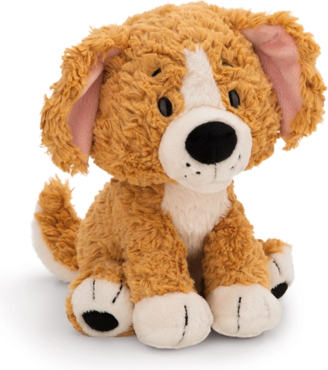 NICI pluche bruine hond zittend Green 20 cm
