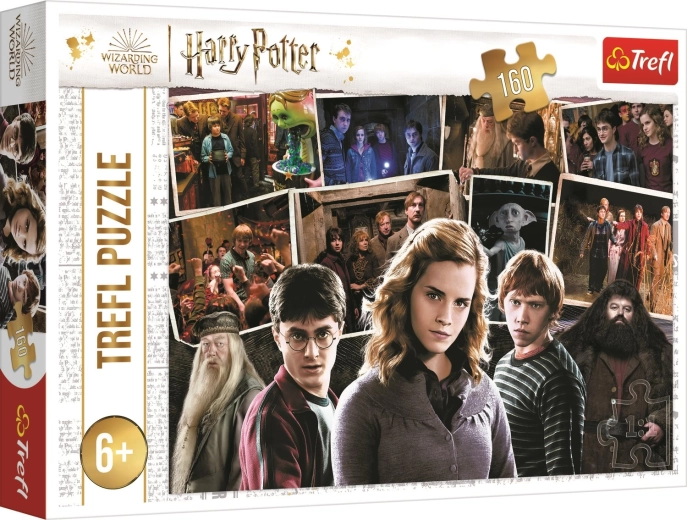 Puzzel HARRY POTTER en vrienden 160 stukjes Trefl