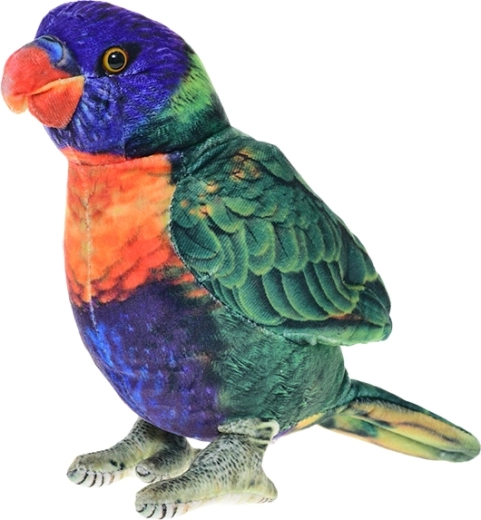 Pluchen lori-papegaai 23 cm – staande decoratie en speelgoed voor kinderen