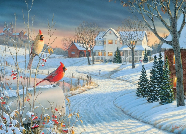 EUROGRAPHICS Puzzel Kardinalen in de winter 1000 stukjes