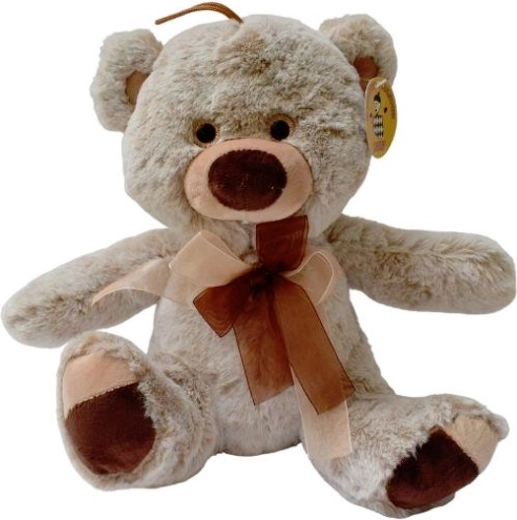 Bruine pluchen teddybeer met accessoires