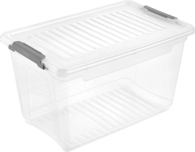Plastic opbergbox met deksel Leonie 5,4 l