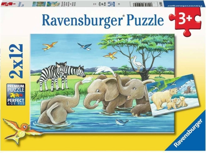 Ravensburger puzzel Dierenjongens 2×12 stukjes