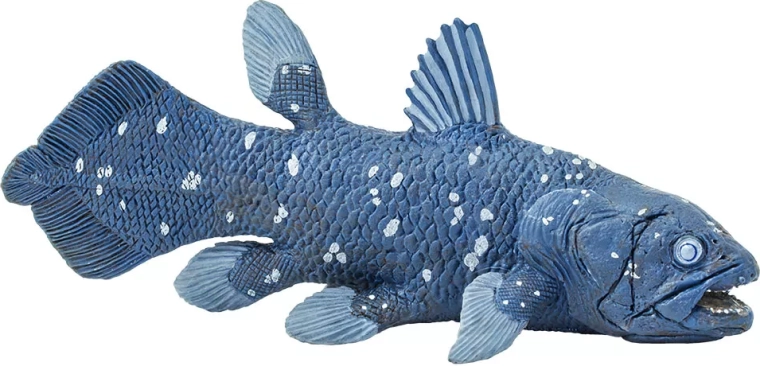 Safari Ltd. coelacanth (latimérie) vreemde figuur - 1 stuk
