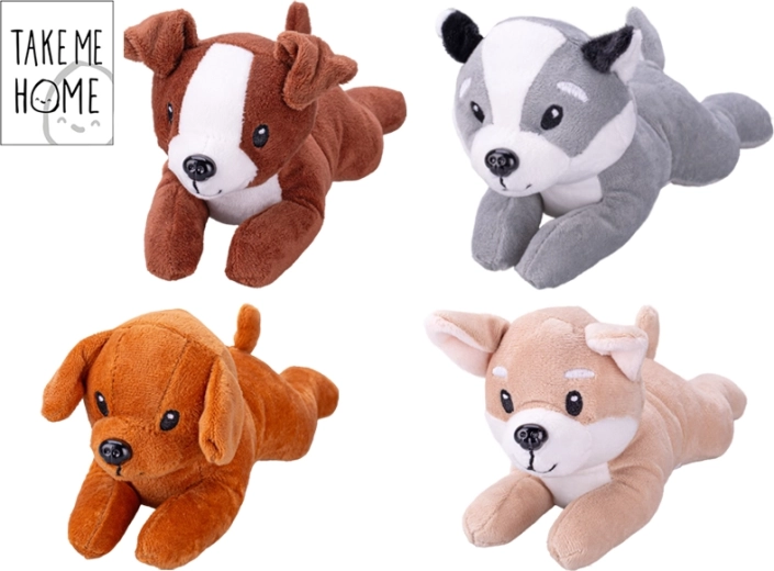 Pluchen hondje Take Me Home 20 cm